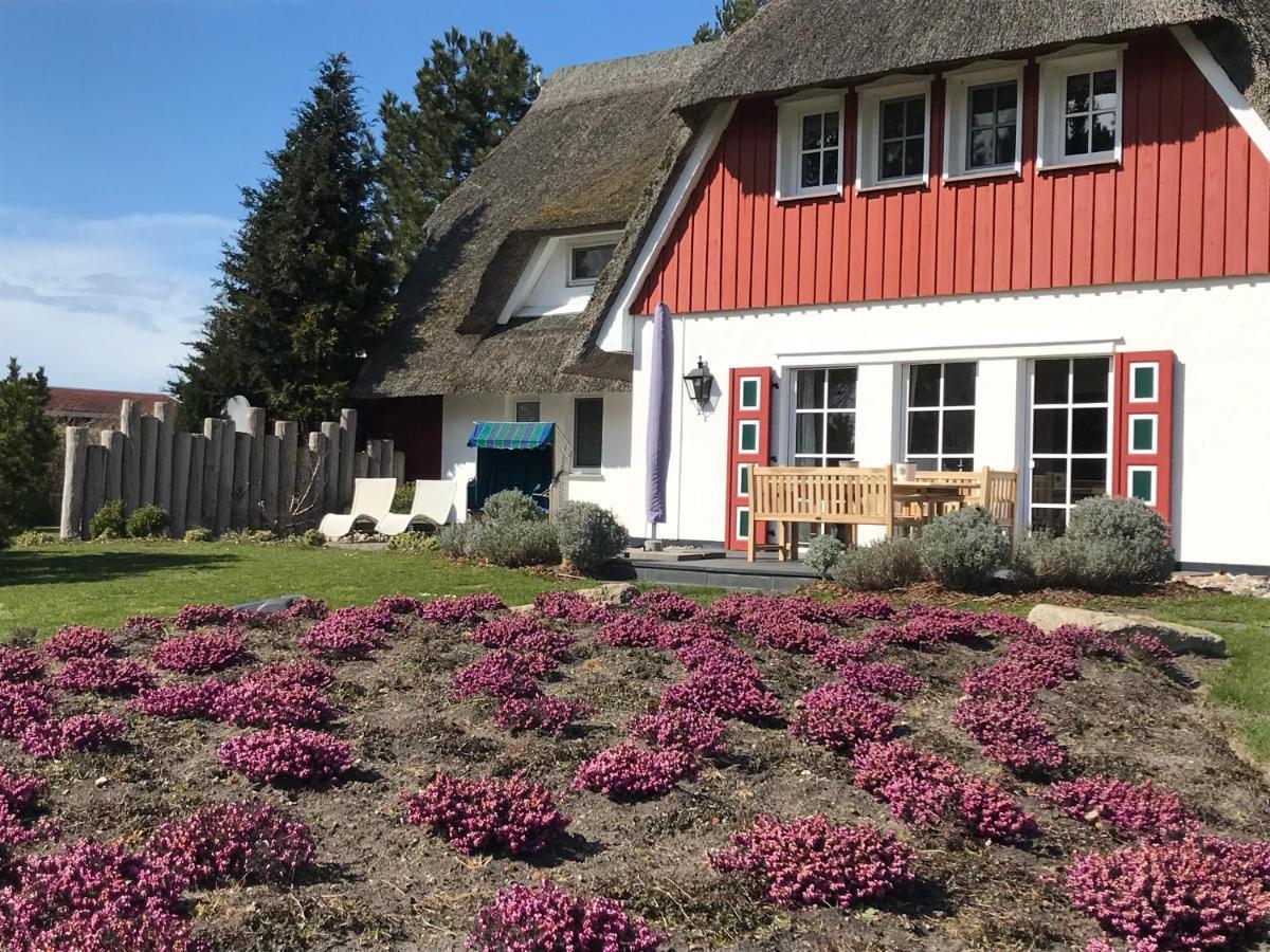 Landhaus Kranichblick Wieck Exteriör bild